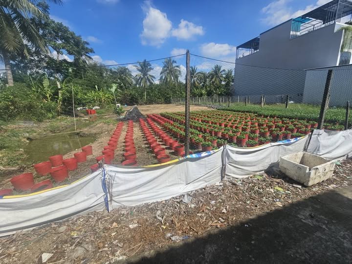 Đất nền thổ cư Phường Mỹ Phong, Tiền Giang 225m² giá 1.49 tỷ - Đầu tư sinh lời ngay!