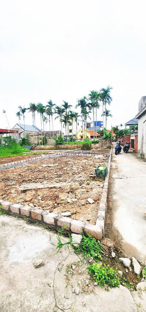 Đất nền Hoa Động - Thủy Nguyên 50m² chỉ 1.3 tỷ - Cơ hội đầu tư sinh lời ngay!