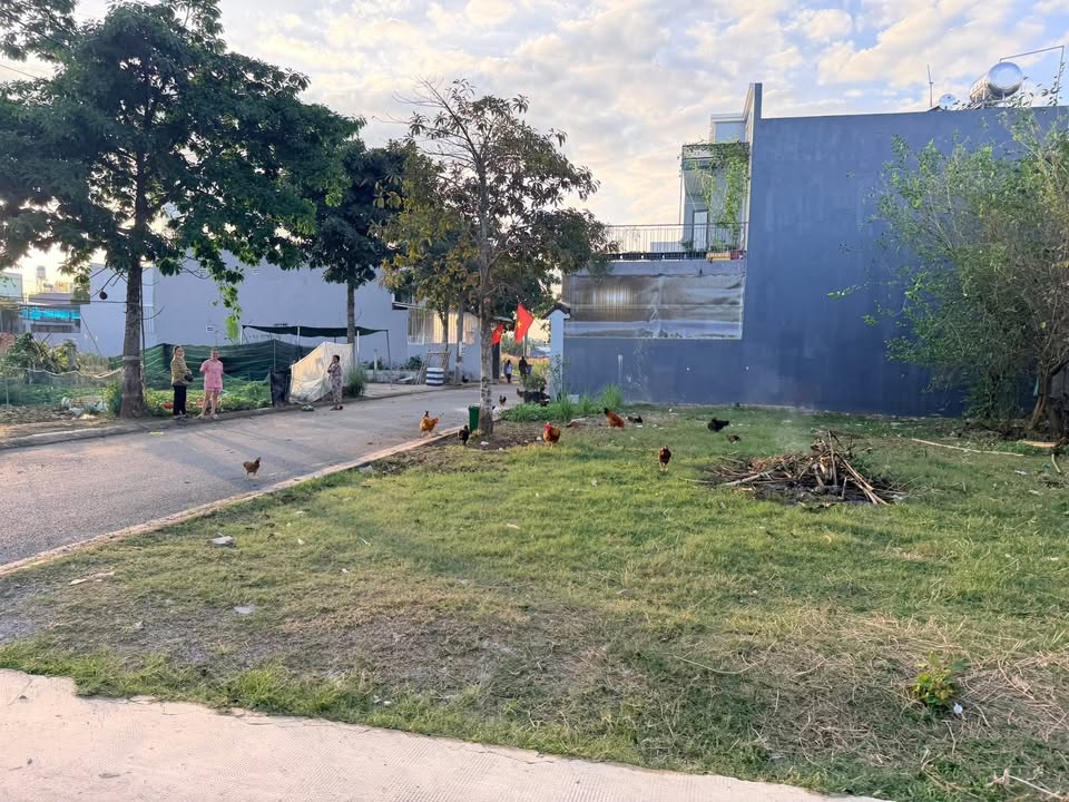 Đất nền Trảng Bom Đồng Nai 140m² giá 3 tỷ - Sổ đỏ chính chủ, kinh doanh tốt!