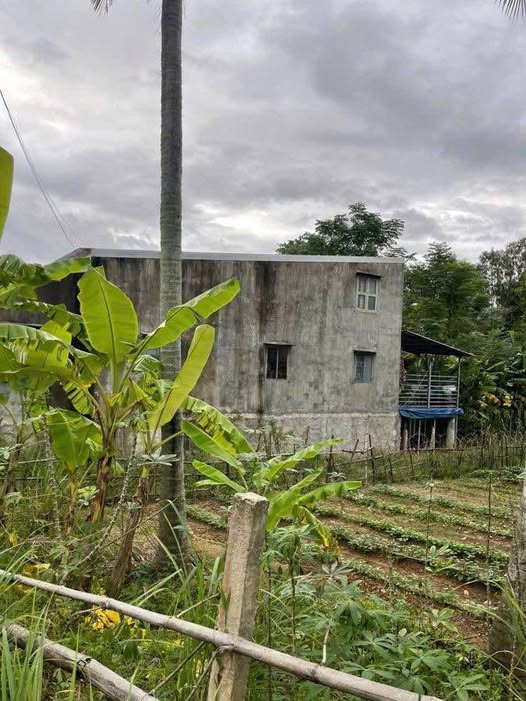 Đất Phú Mỹ, Đại Lộc 235m² giá 2 tỷ - Cơ hội đầu tư sinh lời bền vững!