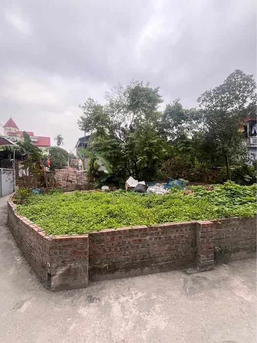 Đất lô góc Kiêu Kỵ 50m² giá 3 tỷ - Vị trí đắc địa, tiện ích đầy đủ!