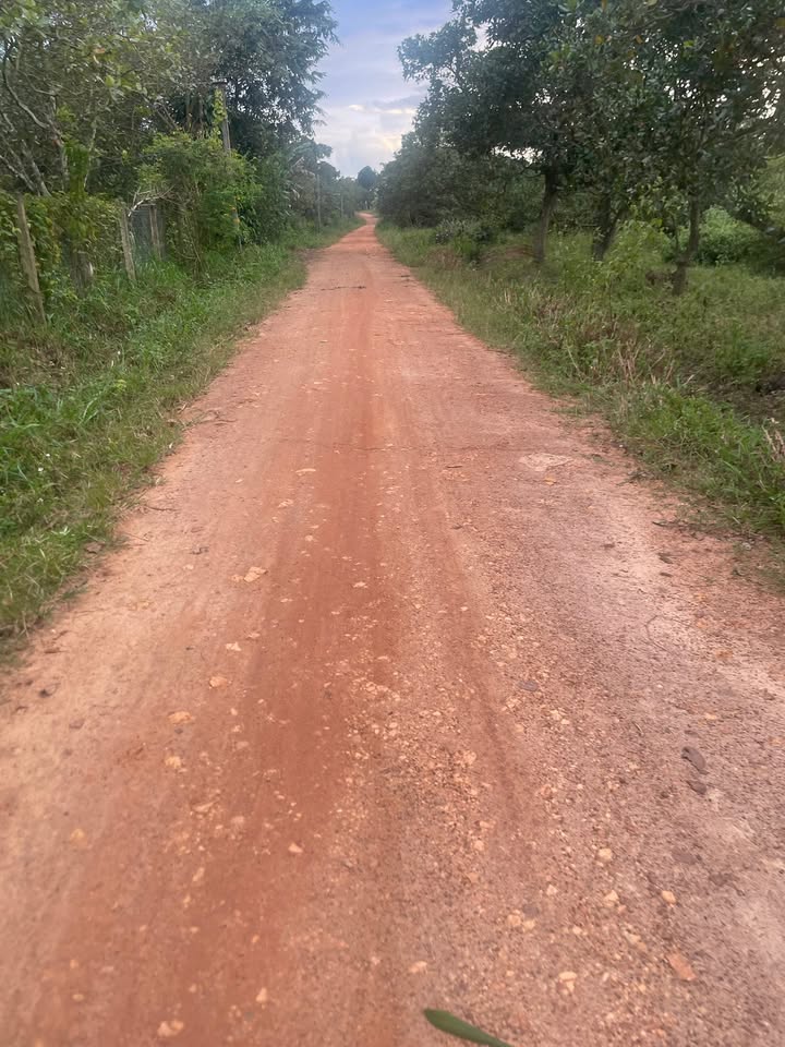 Đất nền Cư Ni, Ea Kar, Đắk Lắk 576m² - Đường ô tô tận nơi, giá tốt