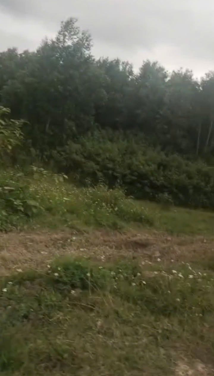 Đất trang trại 16ha tại Hòa Phong, Krông Bông, Đắk Lắk giá 9.6 tỷ - Cơ hội đầu tư hấp dẫn!