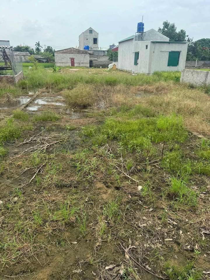 Đất Nền Ninh Phú 80m² giá 500 triệu - Hướng Nam mát mẻ, vị trí vàng!