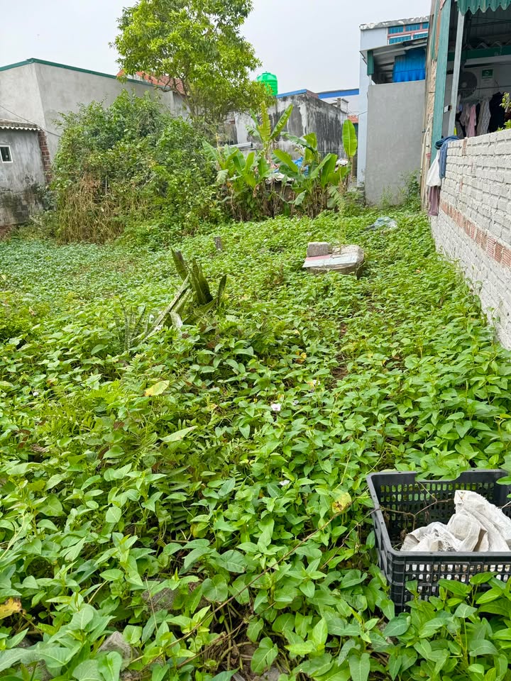 Đất nền Hưng Lộc 60m² giá 500 triệu - Cơ hội đầu tư tuyệt vời!