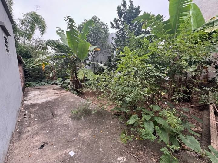 Đất thổ cư mặt tiền Dương Đức Hiền, Gia Lâm 9m² giá 3.1 tỷ - Sổ đỏ chính chủ!