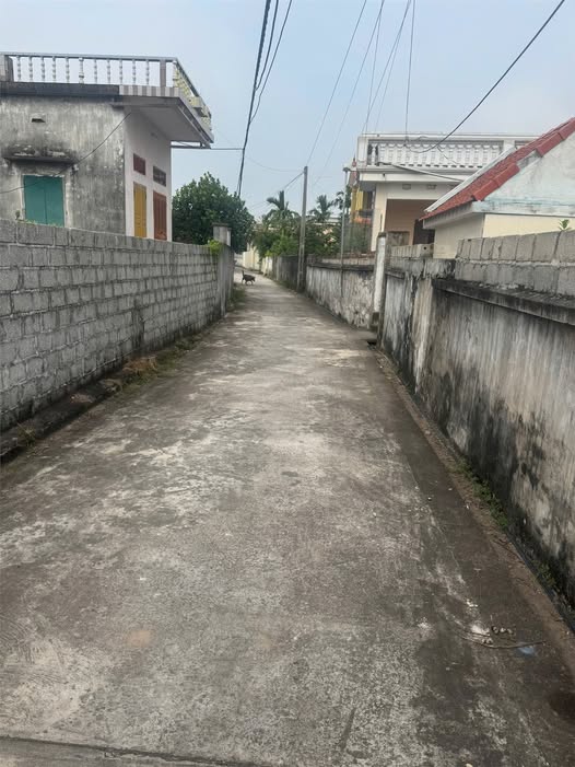 Đất nền Bàng La 347m² giá 3.47 tỷ - Đầu tư lý tưởng cho homestay hoặc biệt thự sân vườn!