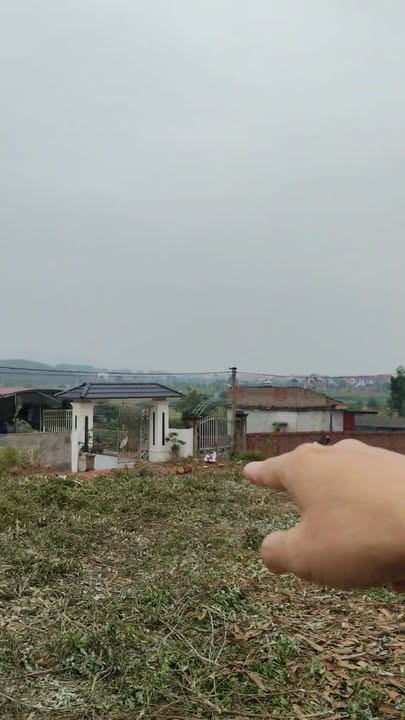 Đất nền 1150m² tại Tam Dị, Lục Nam, Bắc Giang chỉ 1 tỷ - Cơ hội vàng cho đầu tư!