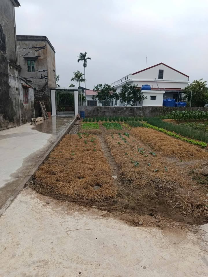 Đất nền Lê Lợi Kiến Xương 150m² giá chỉ 500 triệu - Không lỗi phong thủy!