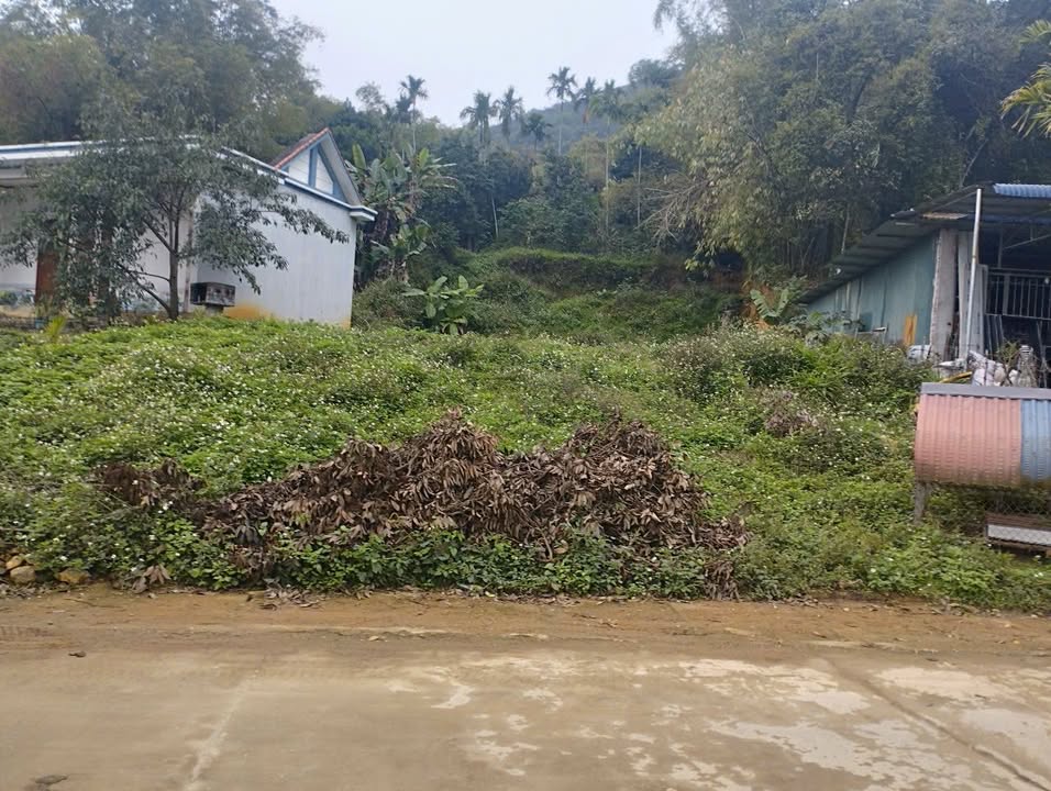 Đất thổ cư 845m² tại xã Liên Sơn, Lương Sơn, Hòa Bình - Giá chỉ 3 tỷ, đầu tư sinh lời cao!