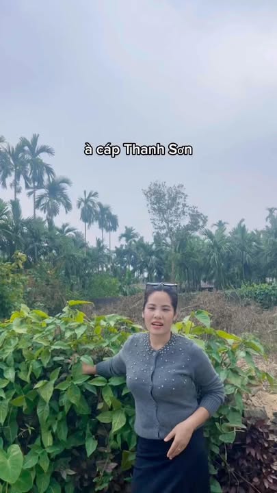 Đất nền chính chủ tại Xóm Cáp, Thanh Sơn, Lương Sơn - Diện tích 145m², giá thỏa thuận!