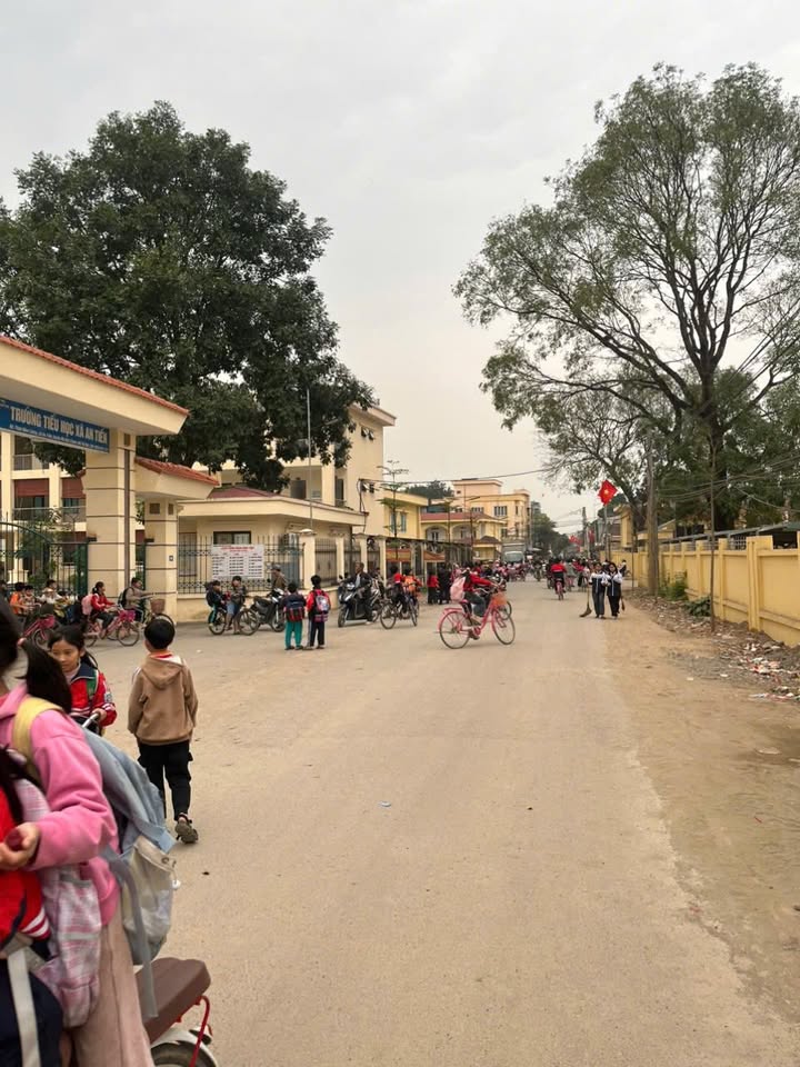 Đất phân lô An Tiến, Mỹ Đức 100m² giá 2 tỷ - Lô đẹp nhất khu đấu giá!