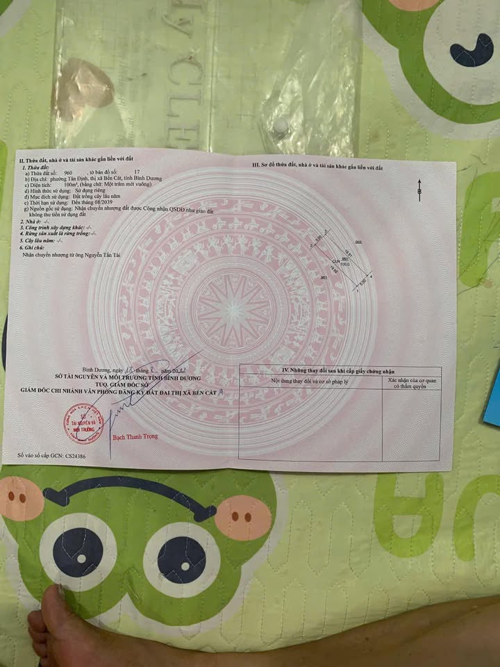 Đất nền Tân Định Bến Cát 100m² giá chỉ 600 triệu - Đầu tư sinh lời ngay!