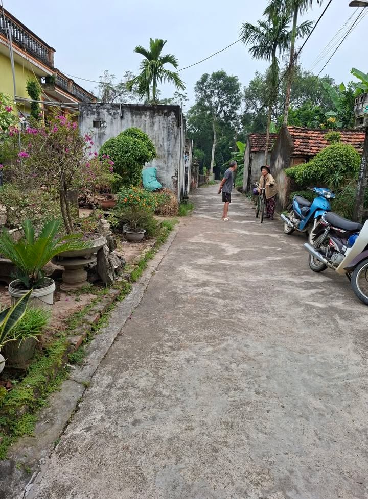 Đất nền thôn Nguyệt Bói, xã Tân Minh, 186m² - Hướng Nam, giá thỏa thuận hấp dẫn!