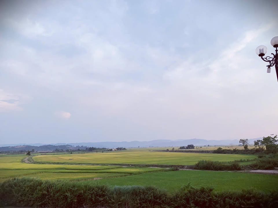 Đất nền 700m² tại 174 Y Wang, Ea Tam giá chỉ 2.69 tỷ - View cánh đồng tuyệt đẹp!