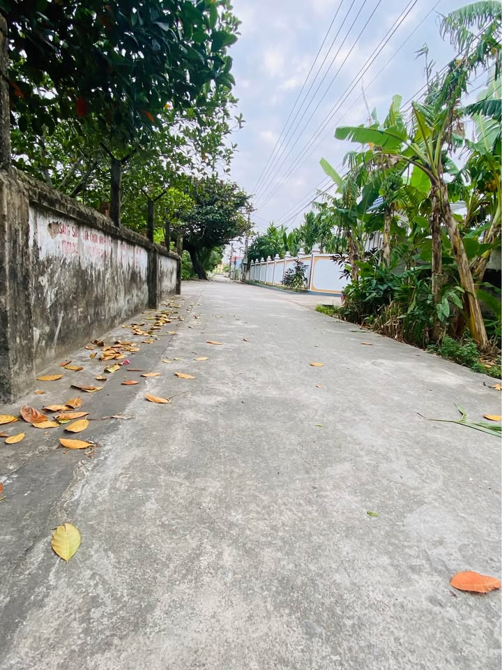 Đất nền Đông Trung Tiền Hải 152.9m² giá 1.2 tỷ - Vị trí đẹp, phong thủy tốt!