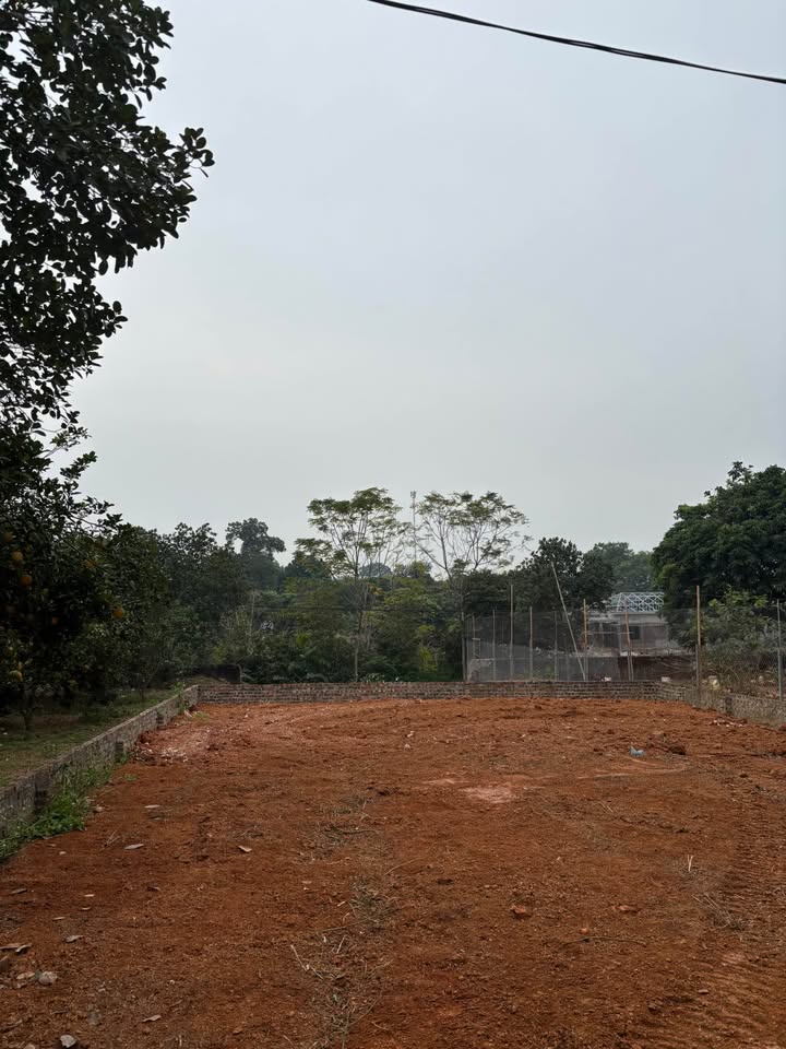 Đất ở Tiên Phong, Ba Vì 160m² giá thỏa thuận - Ô tô vào tận nhà!