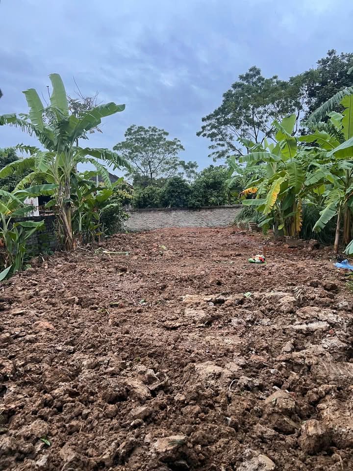 Đất thổ cư Lan Mẫu Lục Nam 140m² giá 700 triệu - Gần trường học, dân cư đông đúc!