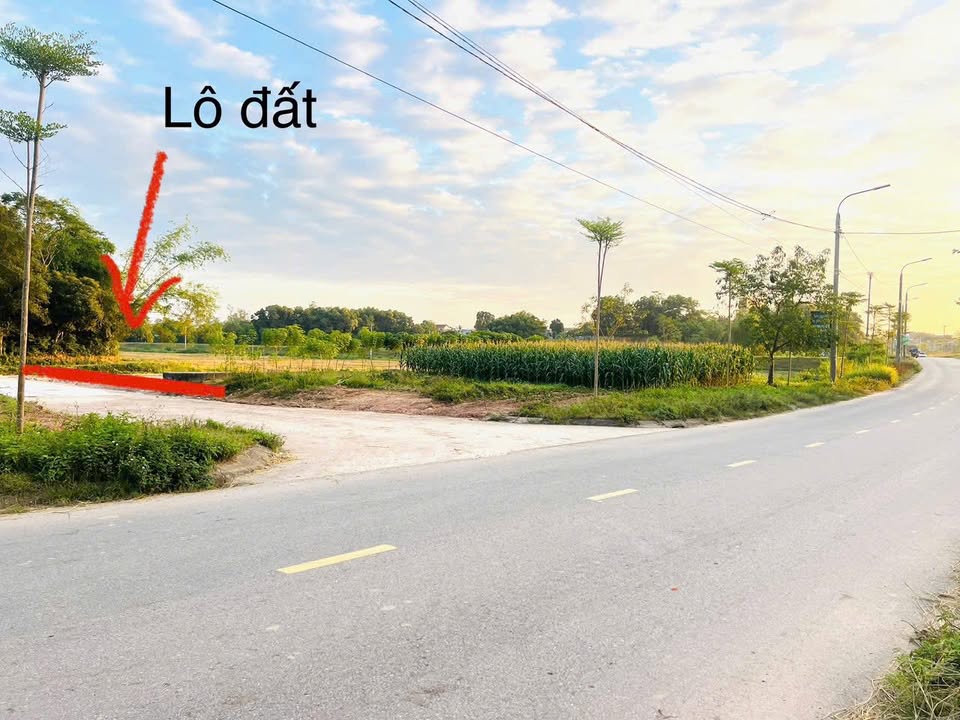 Đất nền Bách Quang Sông Công 83m² giá 1.1 tỷ - Vị trí đắc địa, đầu tư sinh lời!