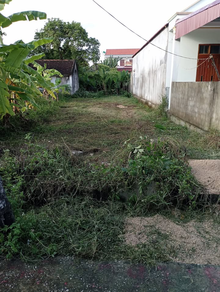 Đất nền Nga Văn 187m² giá 400 triệu - Cơ hội đầu tư tuyệt vời!