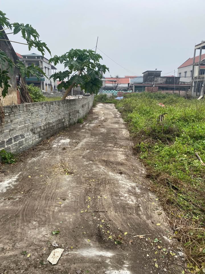 Đất nền Ninh Phúc 65m² giá 1 tỷ - Đường ô tô vào tận nơi!