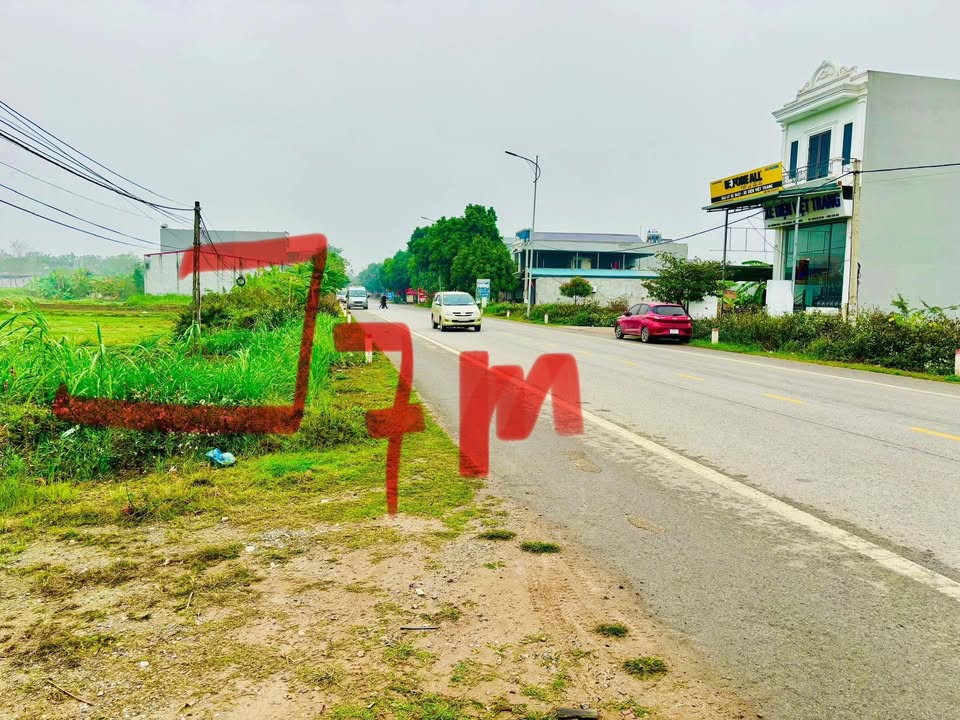 Đất nền góc B1 Đấu giá TL309 Hoàng Hoa, Tam Dương 132.5m² giá 3.4 tỷ - Kinh doanh đắc địa!