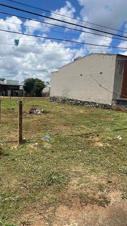 Đất thổ cư Ngô Đức Kế Buôn Hồ 100m² giá 1.45 tỷ - Đầu tư sinh lời cao!