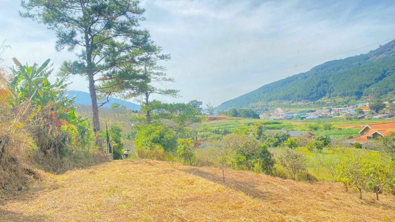 Đất nền Hiệp An, Đức Trọng 1800m² giá 7 triệu/m² - Cơ hội đầu tư tuyệt vời!