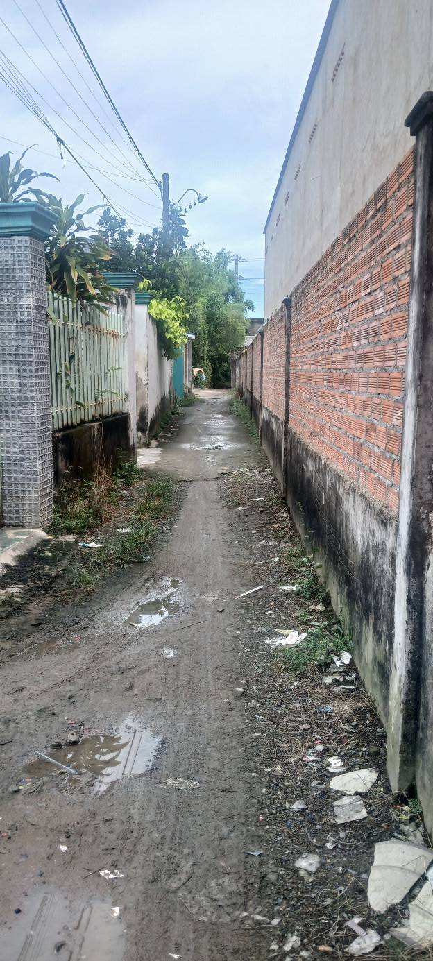 Đất nền Long Trạch Cần Đước 124m² giá 900 triệu - Cách KCN Cầu Tràm chỉ 800m!