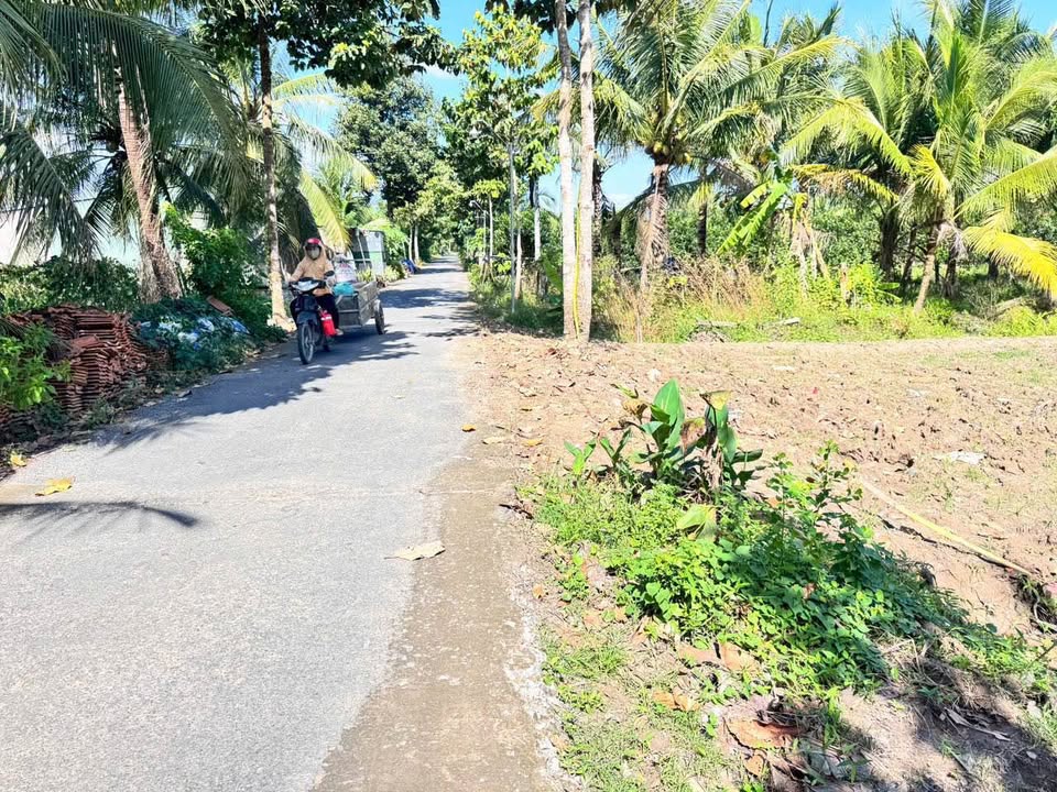 Đất nền thổ cư Đông Thạnh - 195m² giá 650 triệu - Cơ hội đầu tư sinh lời!