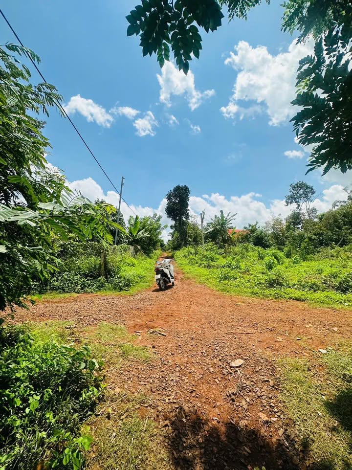 Đất nền An Lạc Buôn Hồ 150m² giá 650 triệu - Đường quy hoạch rộng rãi!