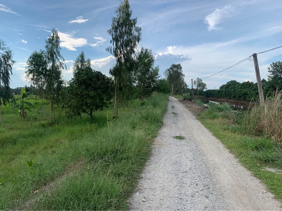 Farm đất 1,4ha tại xã Vĩnh Tế - Châu Đốc, giá 3.6 tỷ - Đầu tư sinh lời cao!