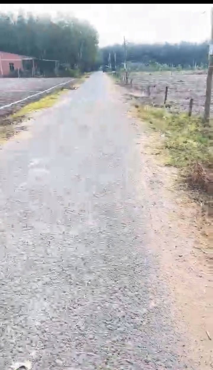 Đất nền Hảo Đước, Châu Thành, Tây Ninh - 2000m² giá 11 tỷ, đầu tư sinh lời ngay!