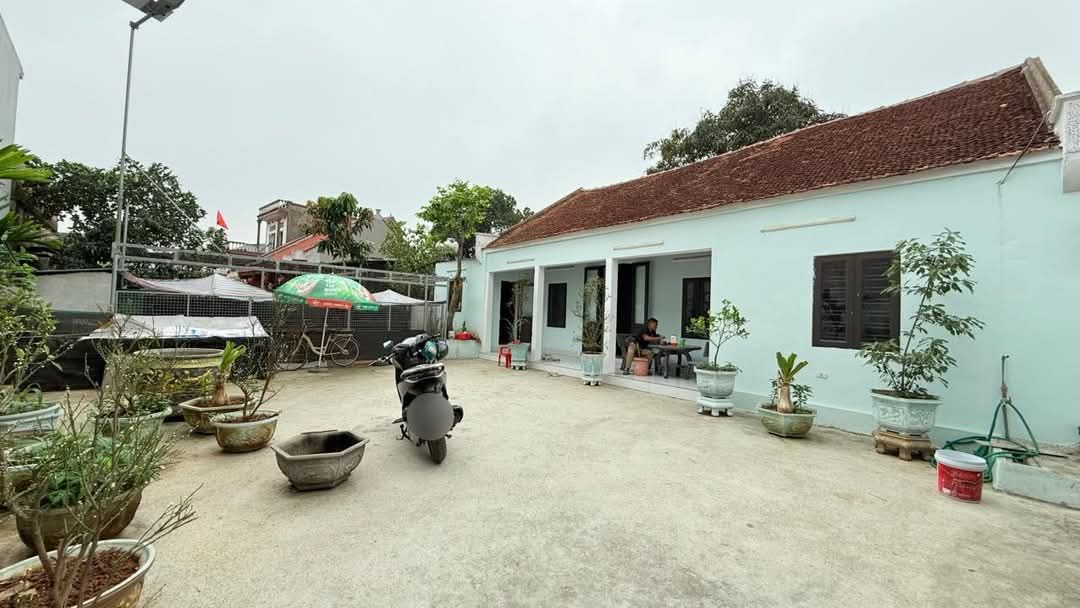 Đất thổ cư Minh Đức, Việt Yên 251m² giá chỉ 1.4 tỷ - Cơ hội đầu tư tuyệt vời!