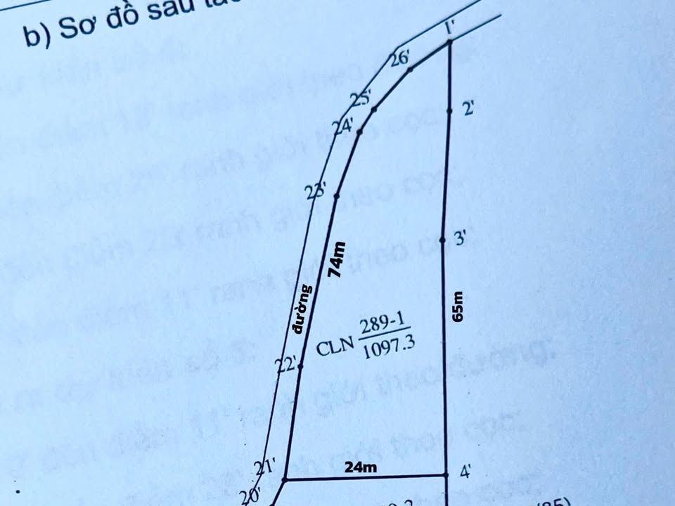 Đất trồng cây lâu năm 1000m² tại Bình Sơn - Lục Nam, giá chỉ 300 triệu - Cơ hội đầu tư tuyệt vời!