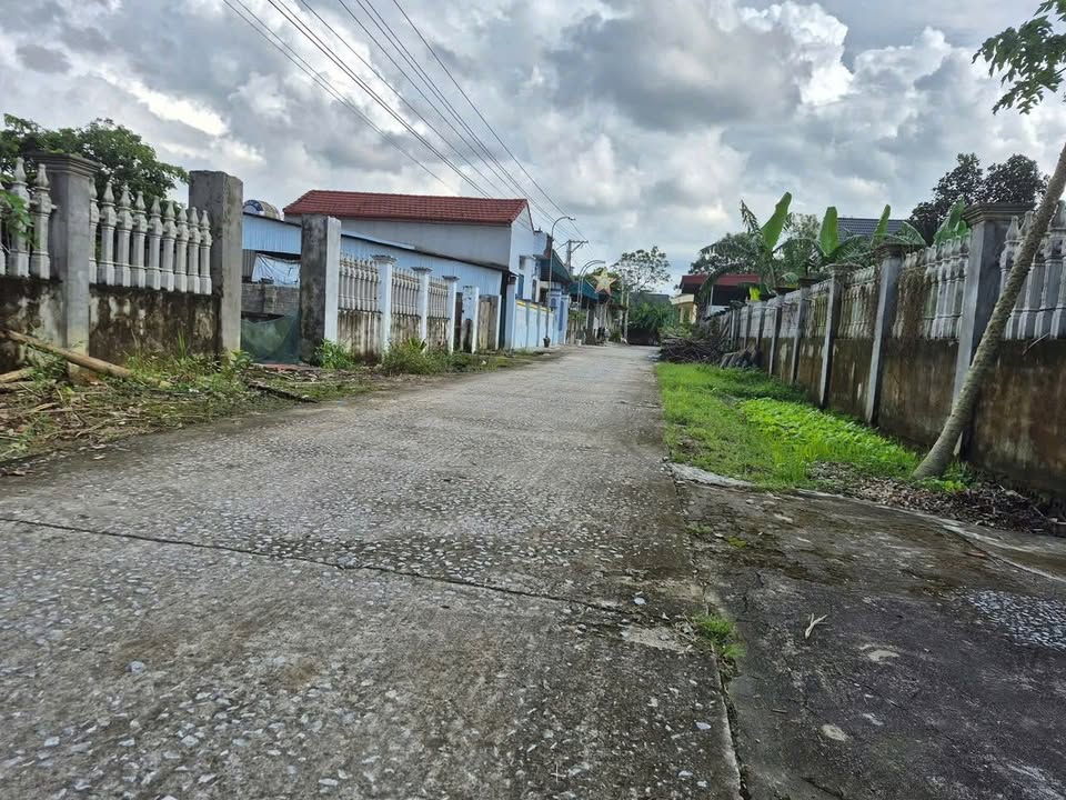 Đất nền Thọ Thế Triệu Sơn 260m² giá 600 triệu - Cơ hội đầu tư tuyệt vời!