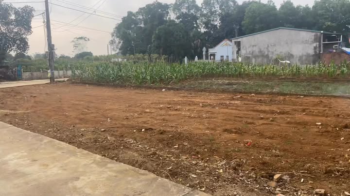 Đất nền Thanh Đình, Việt Trì 171m² giá chỉ 1 tỷ - Đầu tư sinh lời ngay!