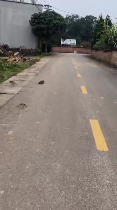 Lô đất Thanh Đình 138,4m² giá 1,58 tỷ - Đầu tư hay ở đều tuyệt vời!