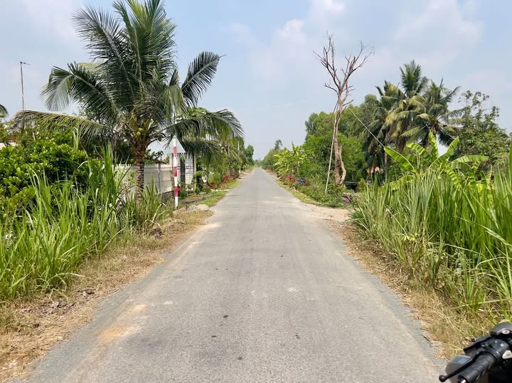 Đất thổ cư 233m² xã Đông Thành, Đức Huệ, Long An - Giá chỉ 599 triệu!