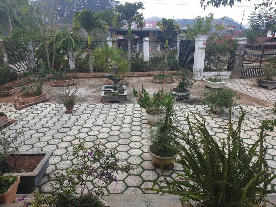 Biệt thự sân vườn 1.447m² mặt tiền Quốc lộ 27, Lâm Hà - Đầu tư lý tưởng!