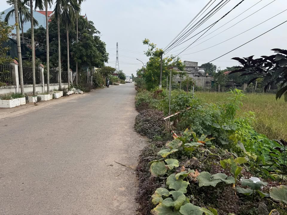 Đất nền Hải An, Hải Hậu 140m² giá 796.6 triệu - Cơ hội đầu tư tốt!