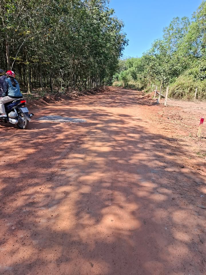 Đất nền phường An Điền, Bến Cát 60m² giá 1.1 tỷ - Cơ hội đầu tư tuyệt vời!