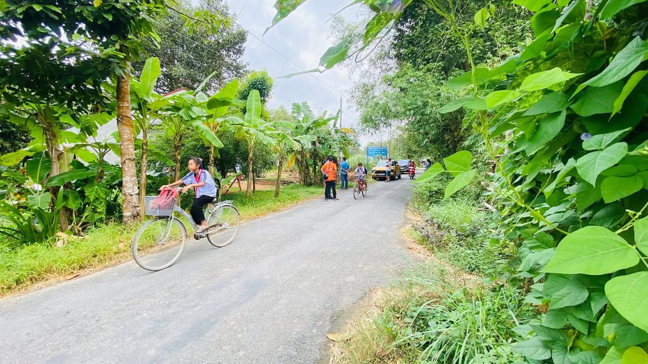 Đất thổ cư Ấp Thốt Lốt 175m² giá 250 triệu - Cơ hội đầu tư tuyệt vời!