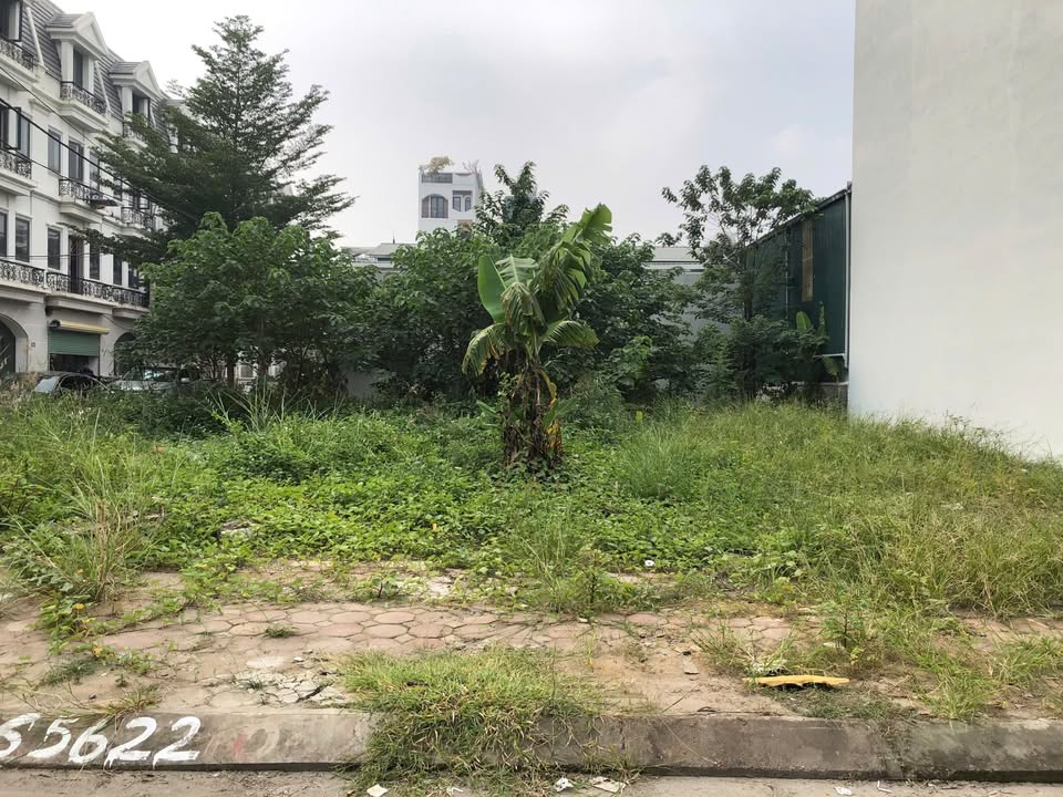 Đất đấu giá Lai Xá Hoài Đức 72m² giá thỏa thuận - Khu dân cư văn minh