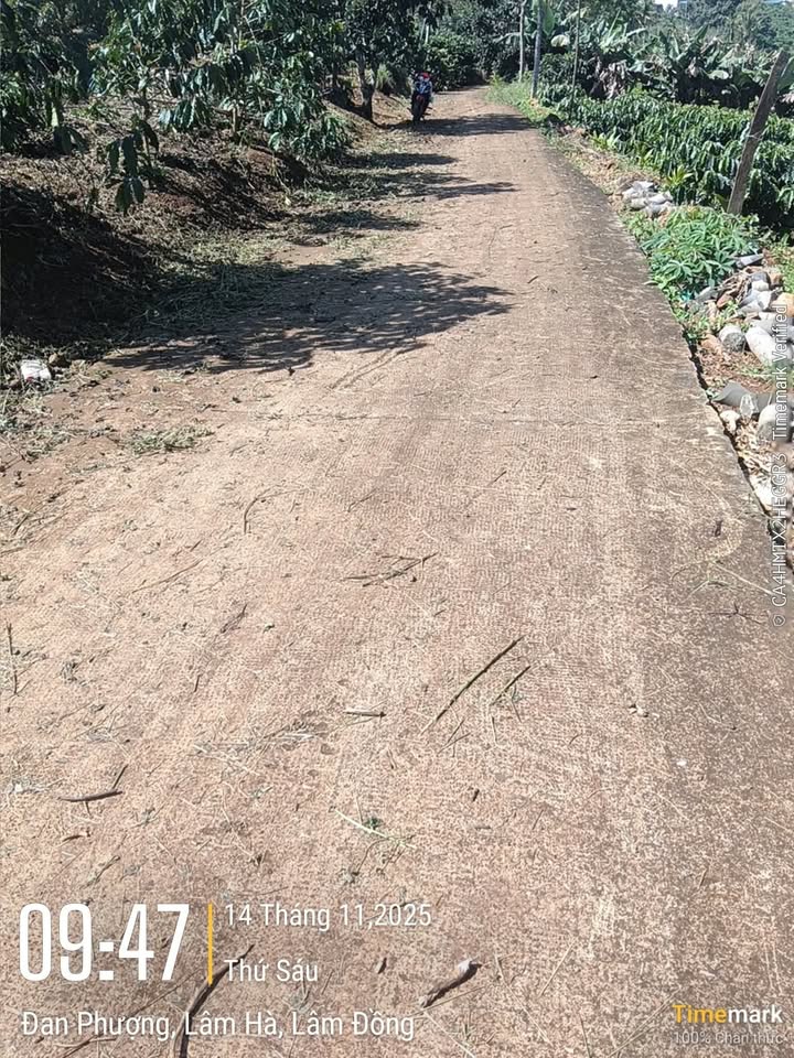 Đất Tân Hà Lâm Hà 7000m² giá 2.8 tỷ - Mặt tiền đường bê tông thuận lợi!