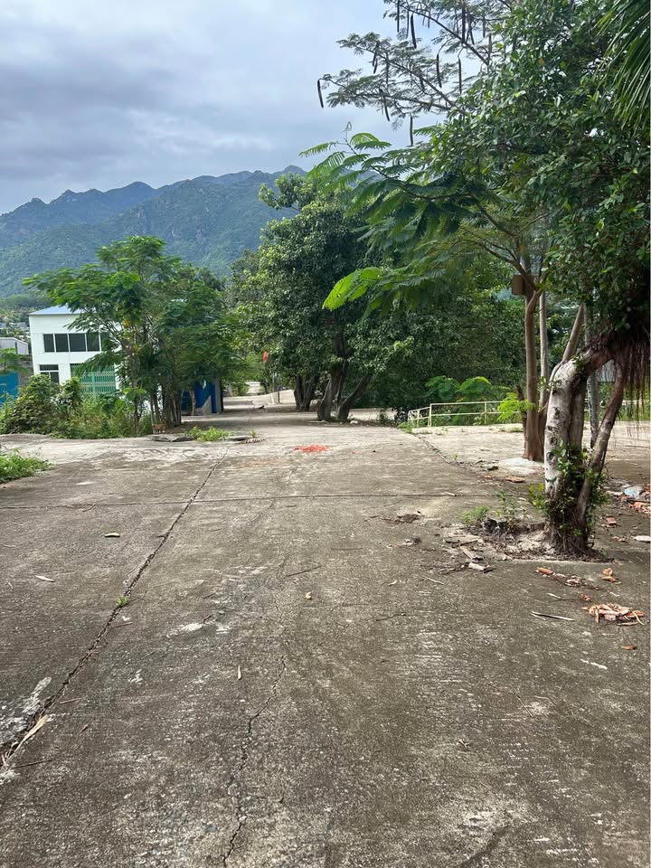 Đất nền 3 mặt tiền Thái Khang, Phước Đồng 279m² giá 3.75 tỷ - Xây biệt thự nghỉ dưỡng lý tưởng!