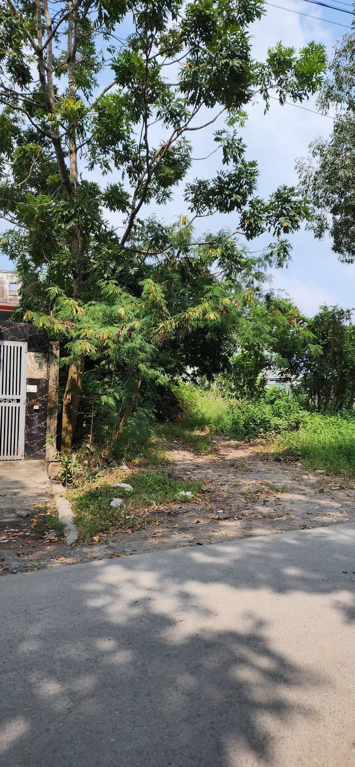 Đất thổ cư Vĩnh Lộc, Bình Chánh 112m² giá 3.55 tỷ - Sổ hồng riêng, vị trí đẹp!