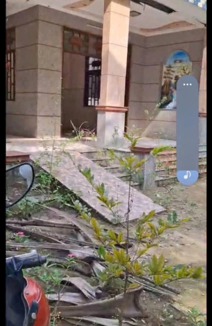 Đất thổ cư và nhà nóc thái 2600m² tại Thạnh Phú Đông - Giá chỉ 1.3 tỷ!