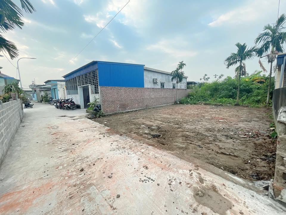 Đất nền Trường Thọ, An Lão 125m² giá 2 tỷ - Tiềm năng đầu tư lớn!