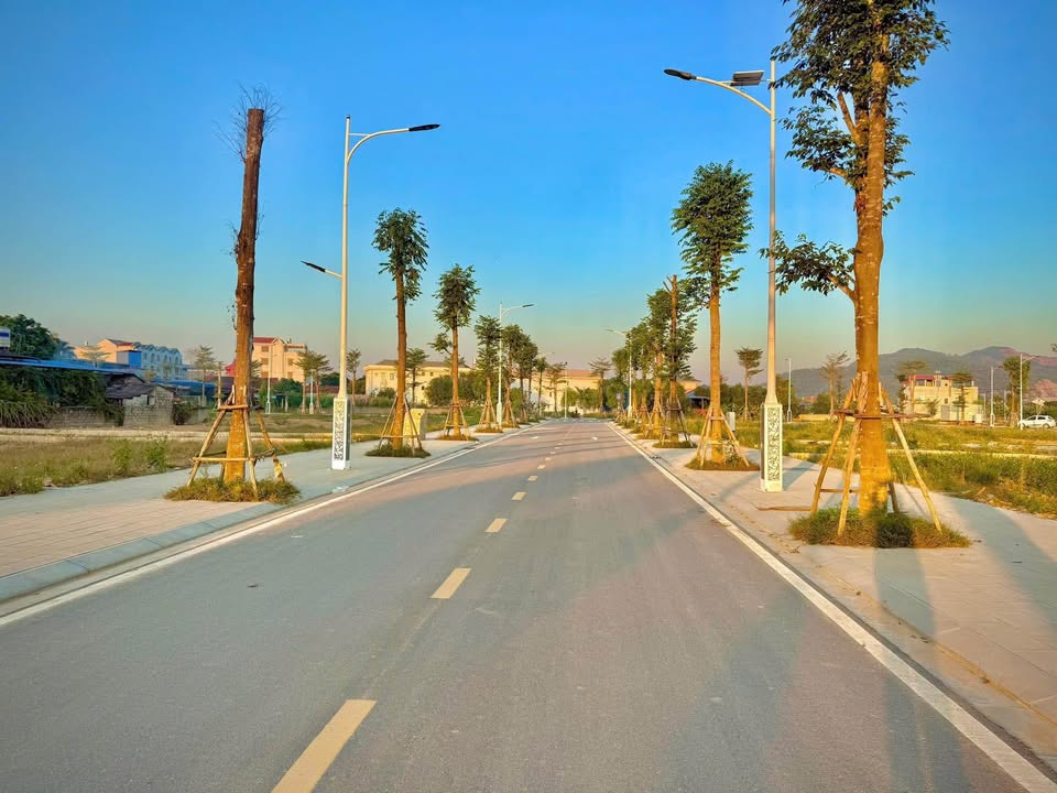 Đất nền Ấp Thái Hóa Thượng 90m² giá 2.4 tỷ - Cơ hội đầu tư tuyệt vời!